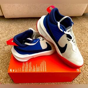 Nike Team Hustle DX Sneakers, Unisex Big Kid, Size 5